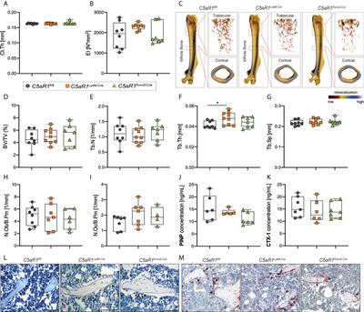 Complement receptor C5aR1 on osteoblasts regulates osteoclastogenesis in experimental postmenopausal osteoporosis